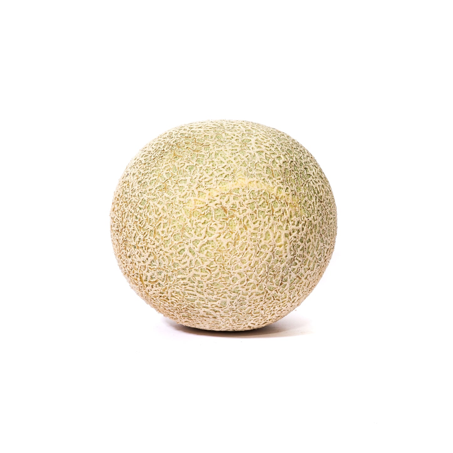 MELON
