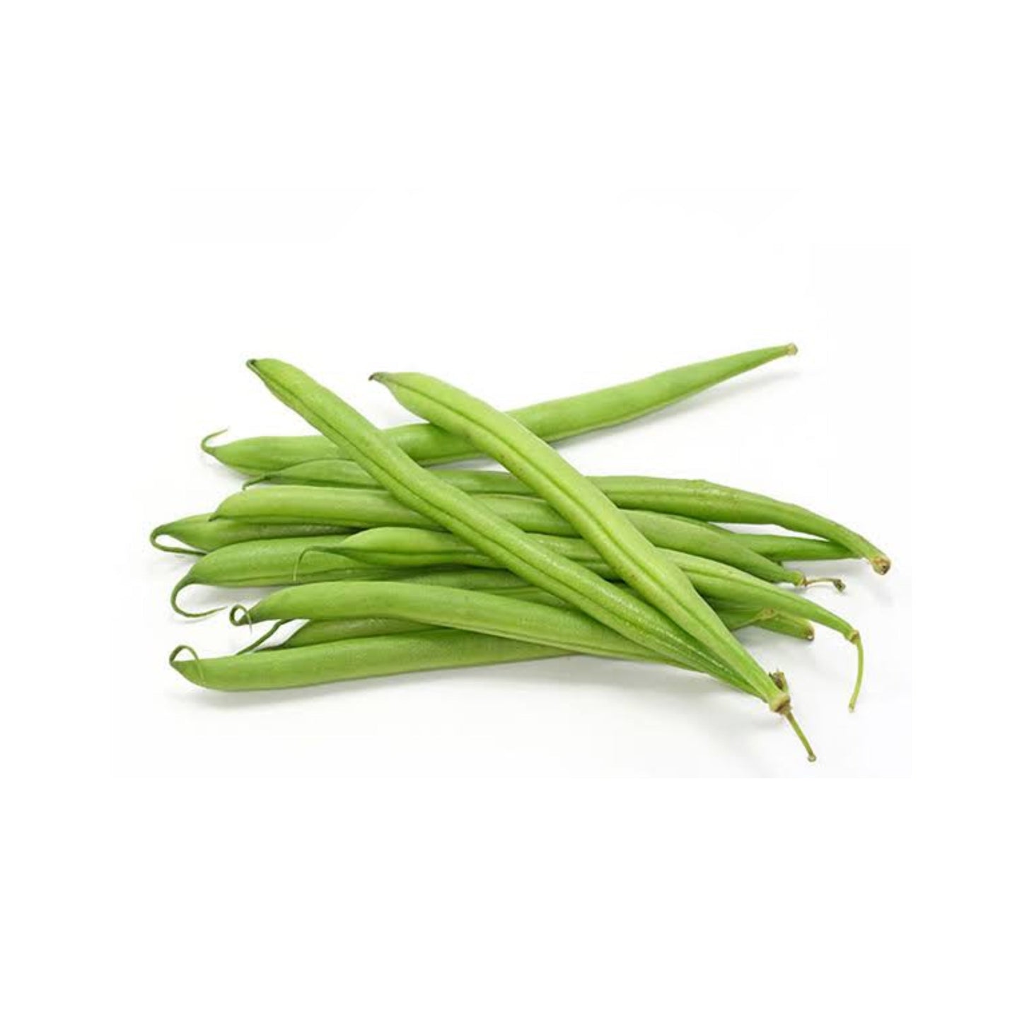 EJOTE