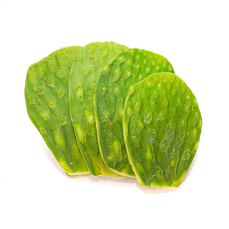 NOPALES