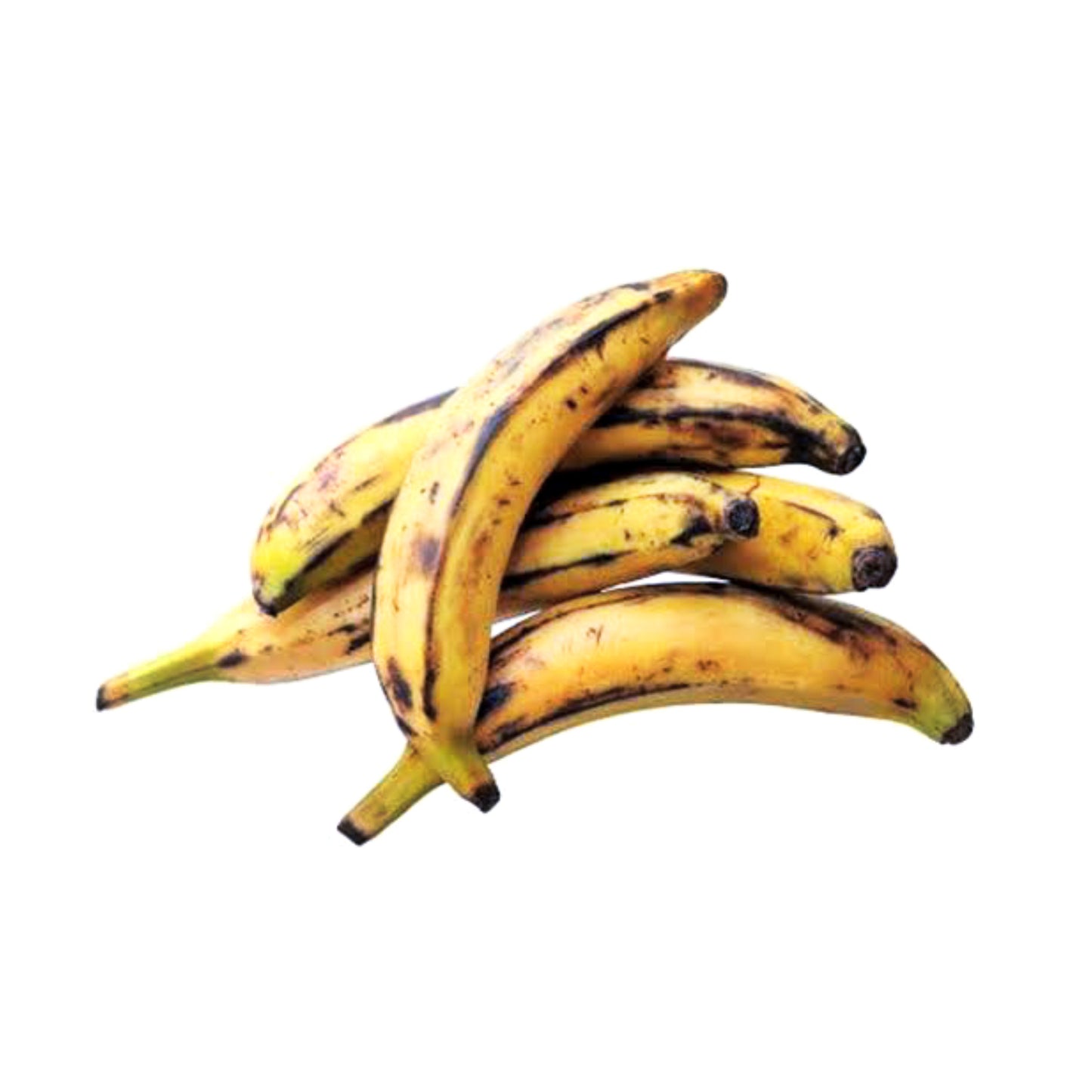 PLATANO MACHO