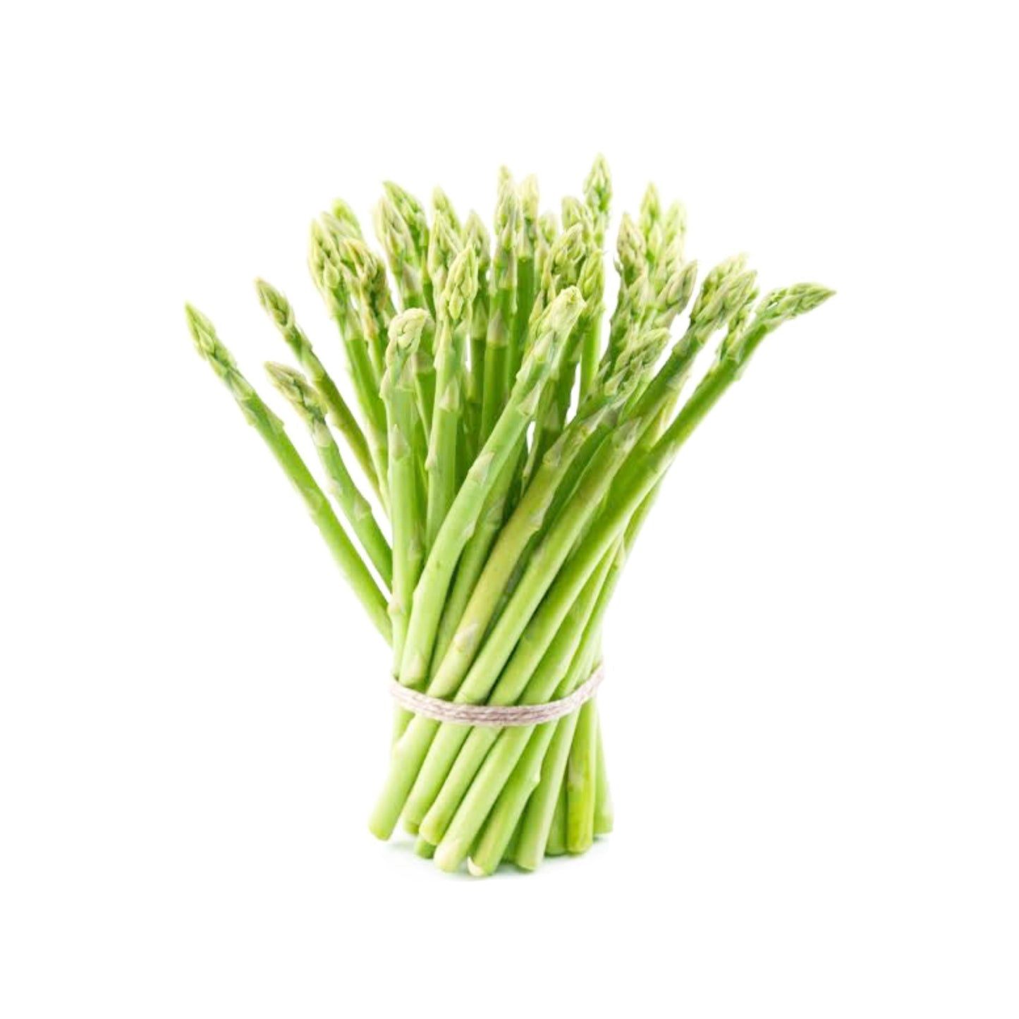 ESPARRAGOS