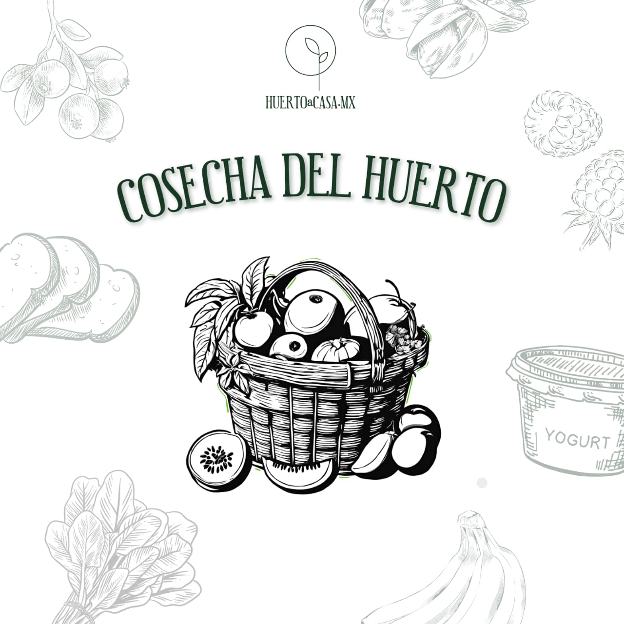 COSECHA DEL HUERTO SALADA Y DULCE