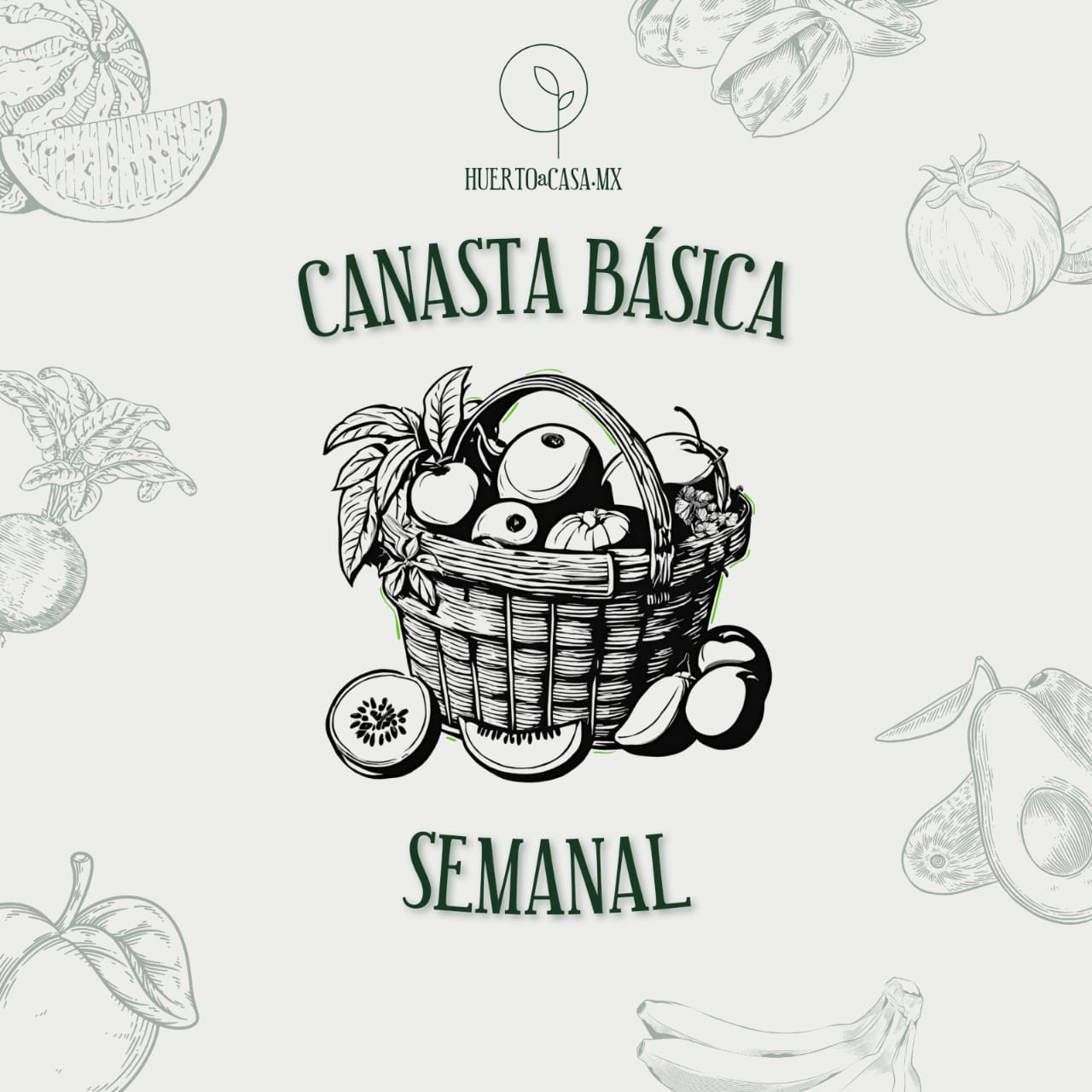 CANASTA BASICA