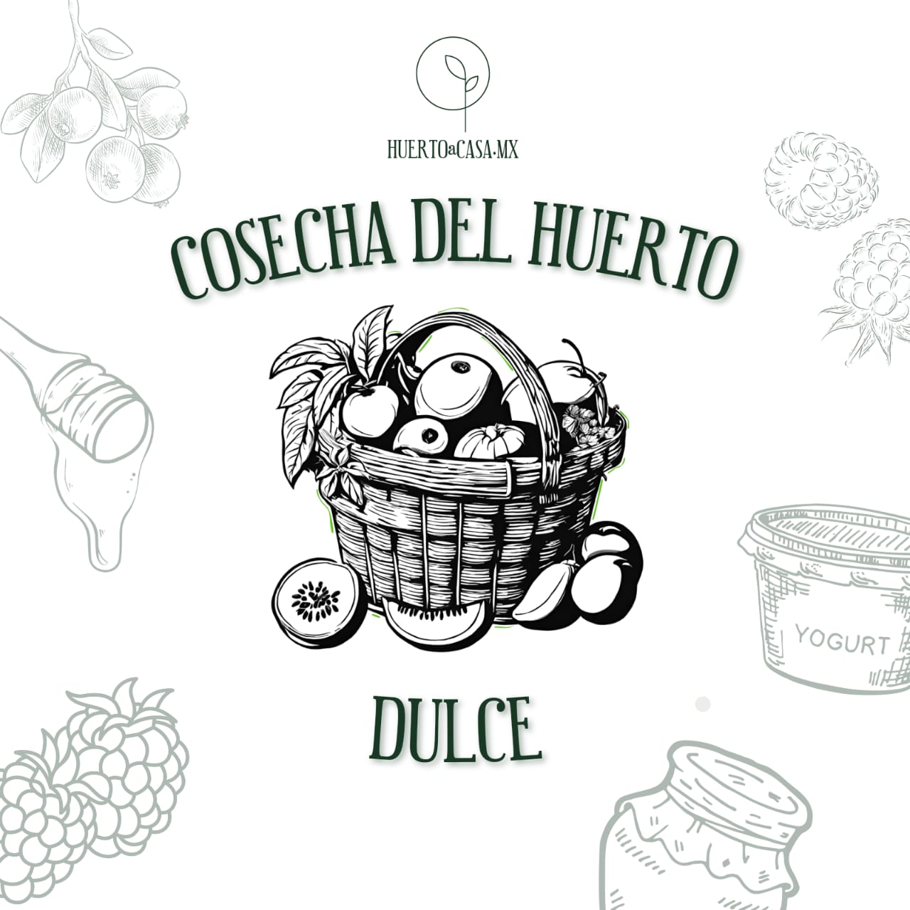 COSECHA DEL HUERTO DULCE