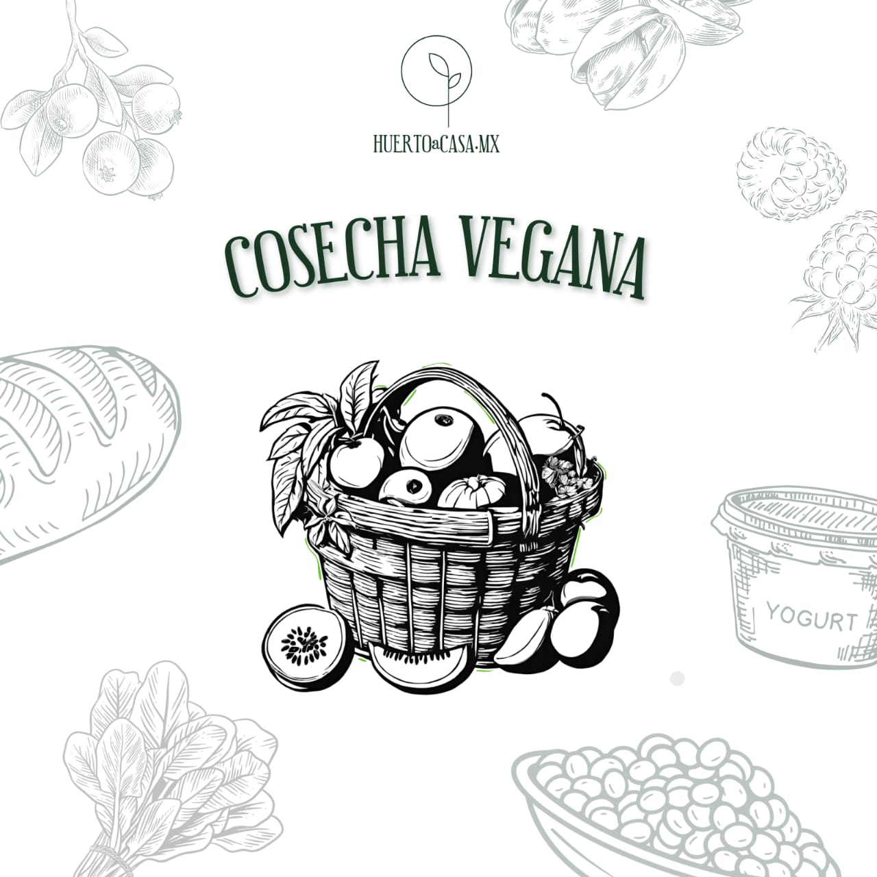 COSECHA VEGANA SALADA Y DULCE