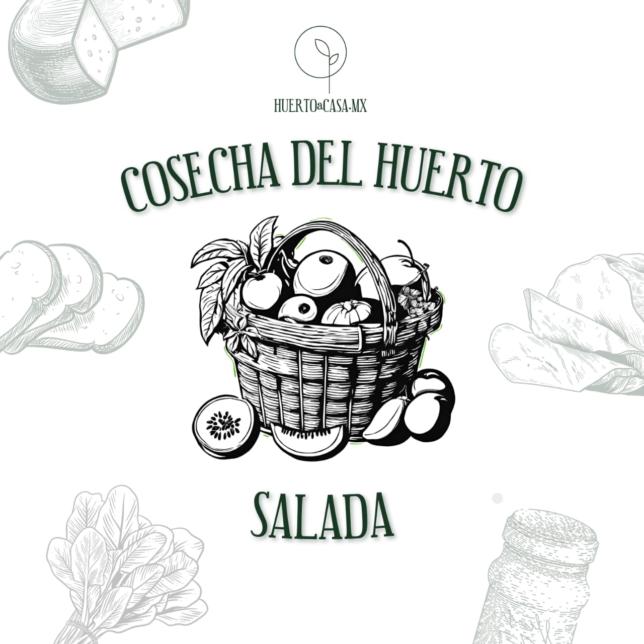 COSECHA DEL HUERTO SALADA