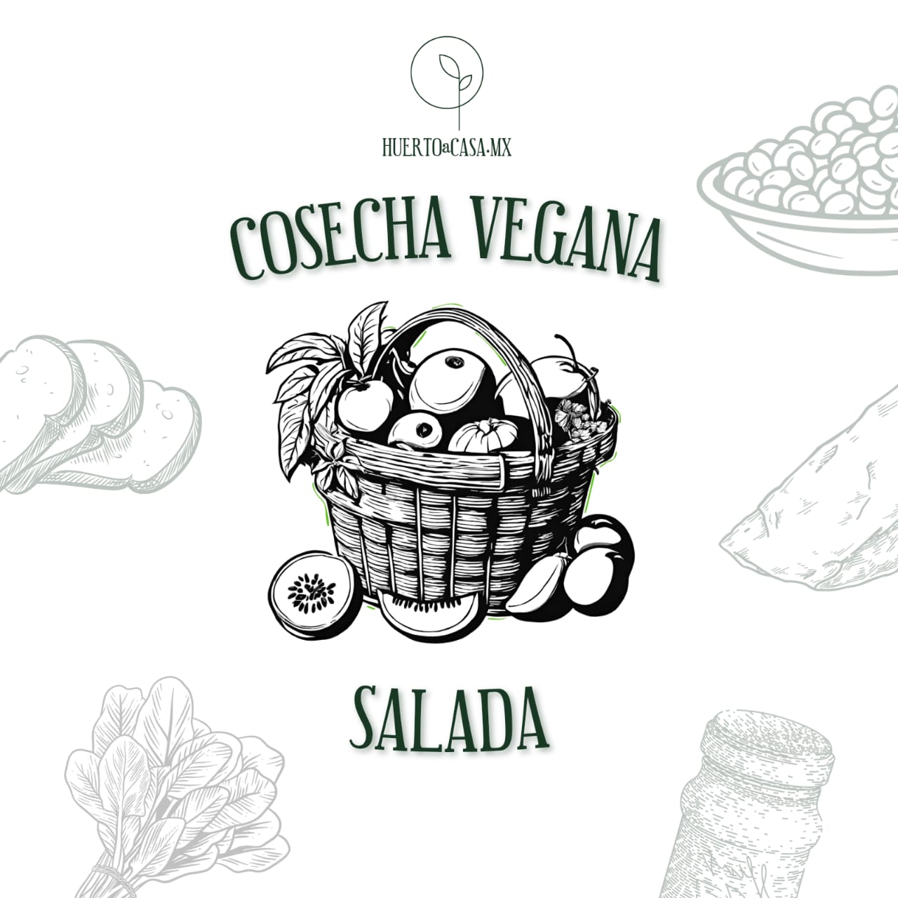 COSECHA VEGANA SALADA