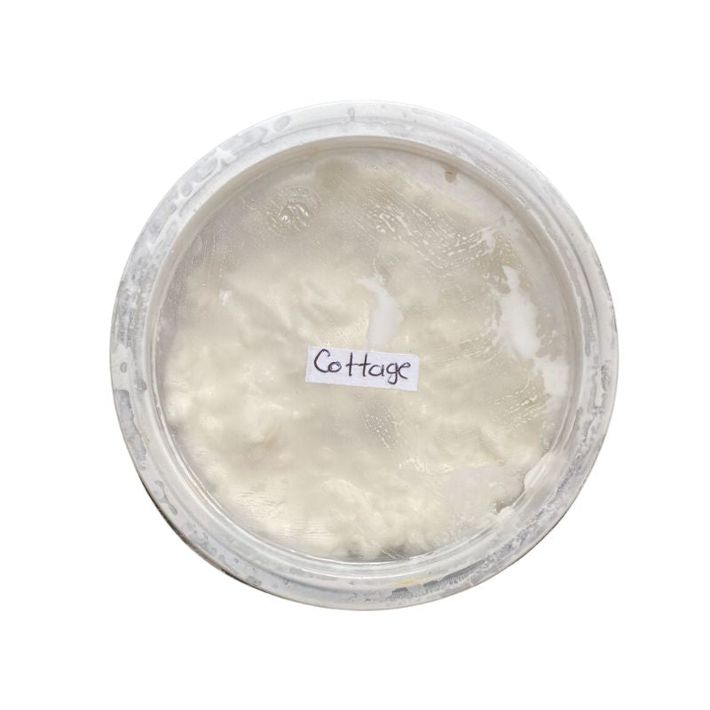 QUESO COTTAGE (250G)
