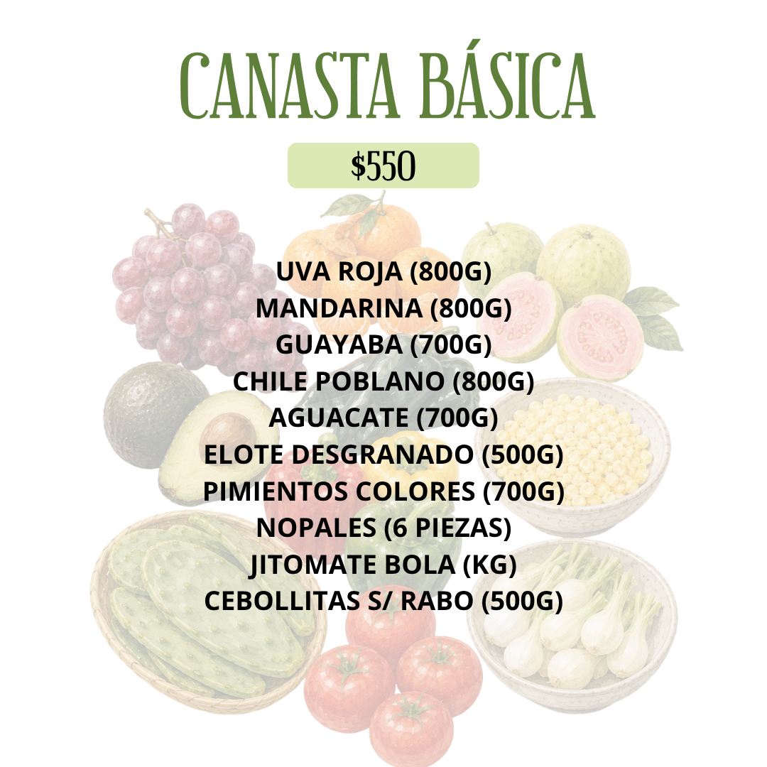 CANASTA BÁSICA
