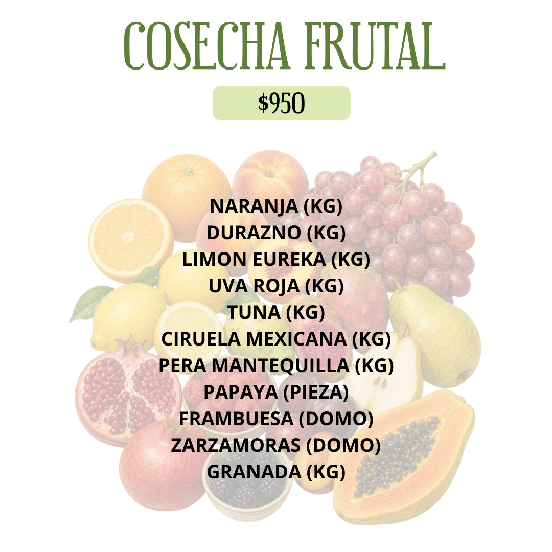 COSECHA FRUTAL DEL HUERTO
