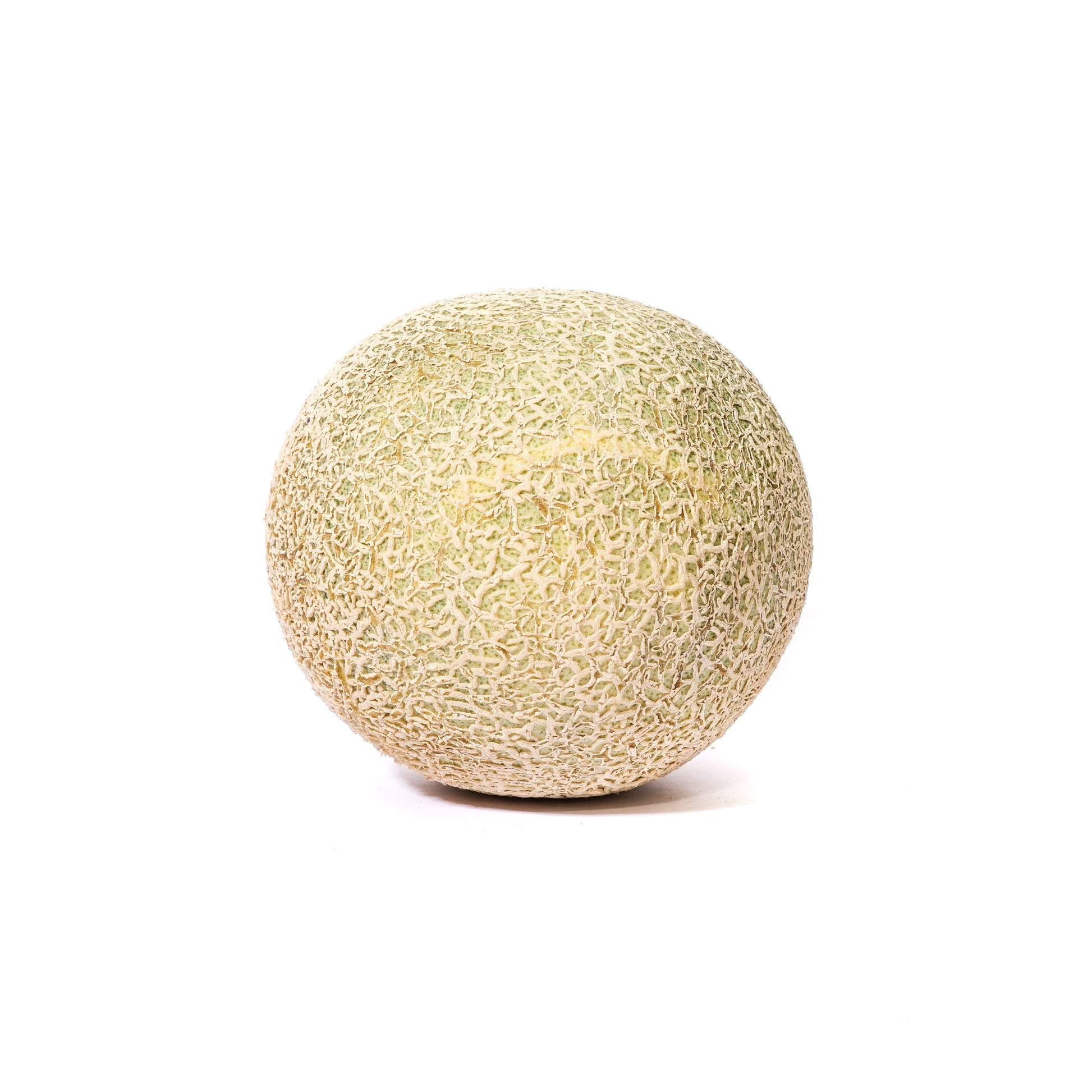 MELON