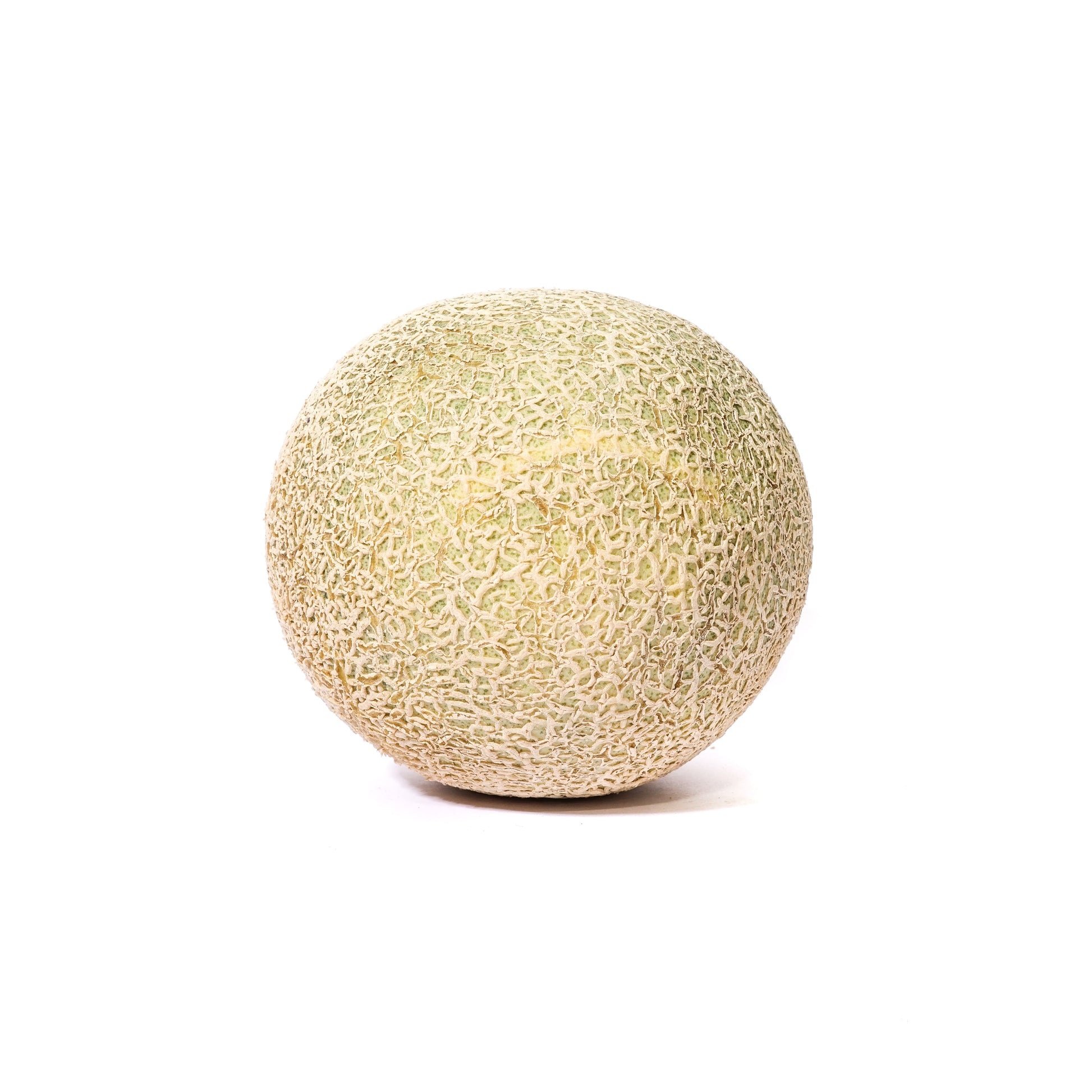 MELON