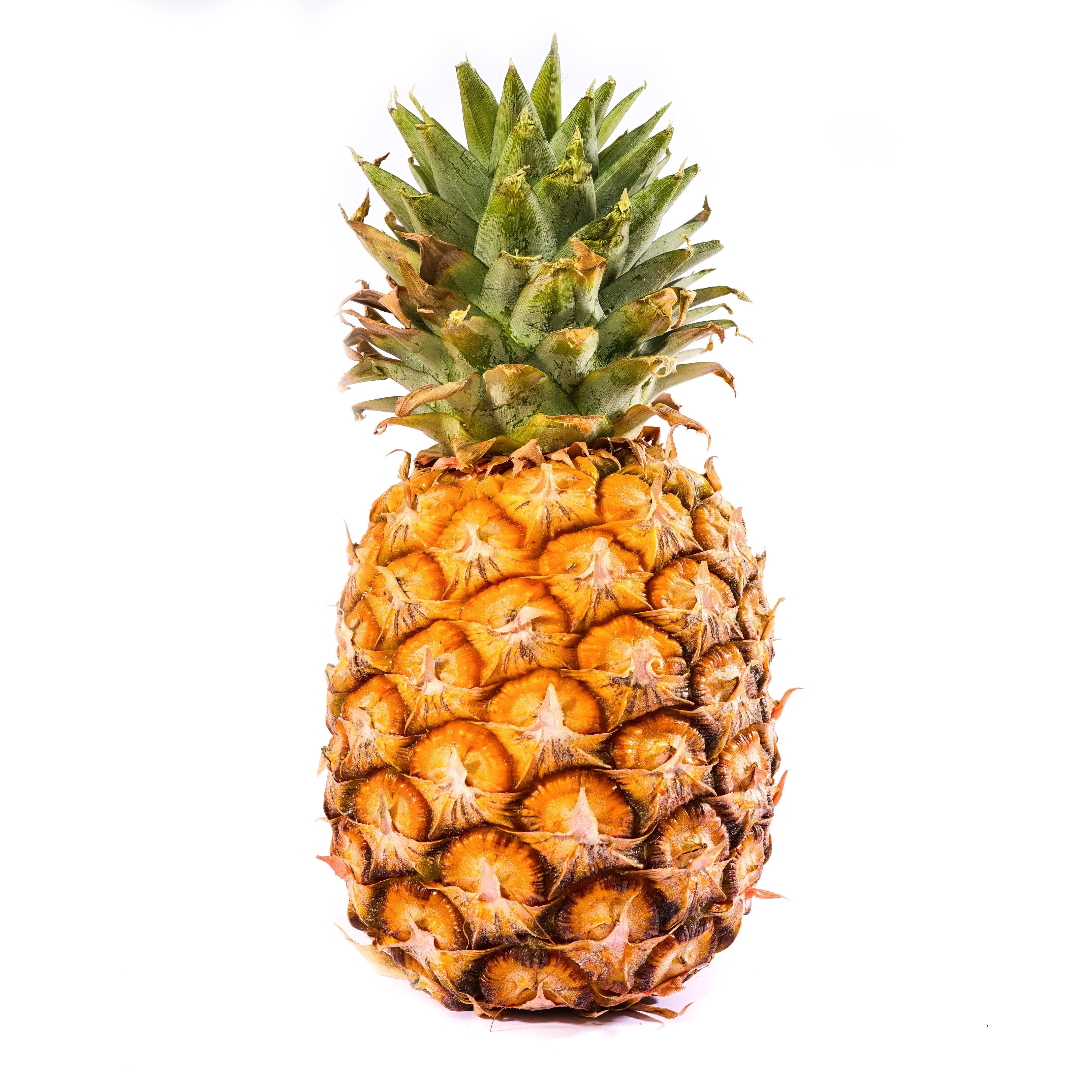 PIÑA – Huerto a Casa