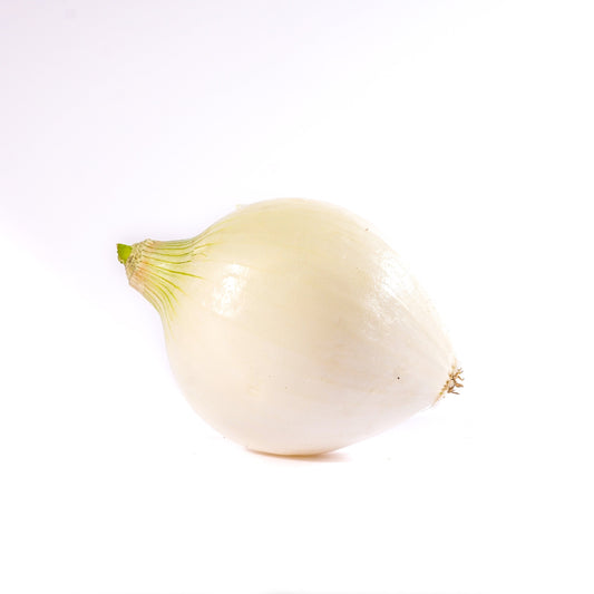 CEBOLLA BLANCA