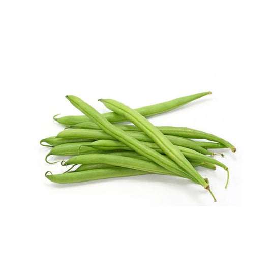 EJOTE