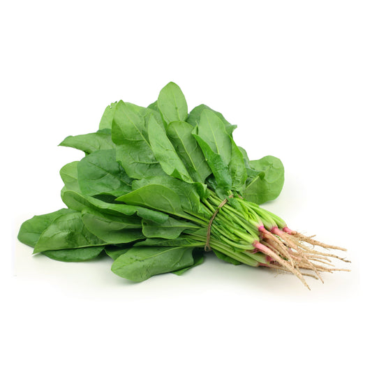 ESPINACA
