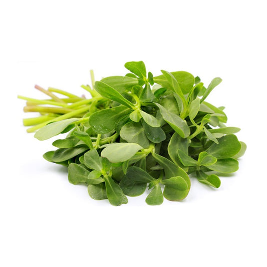 VERDOLAGAS