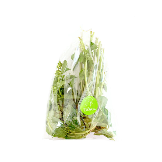 ALBAHACA LISTA PARA CONSUMIR