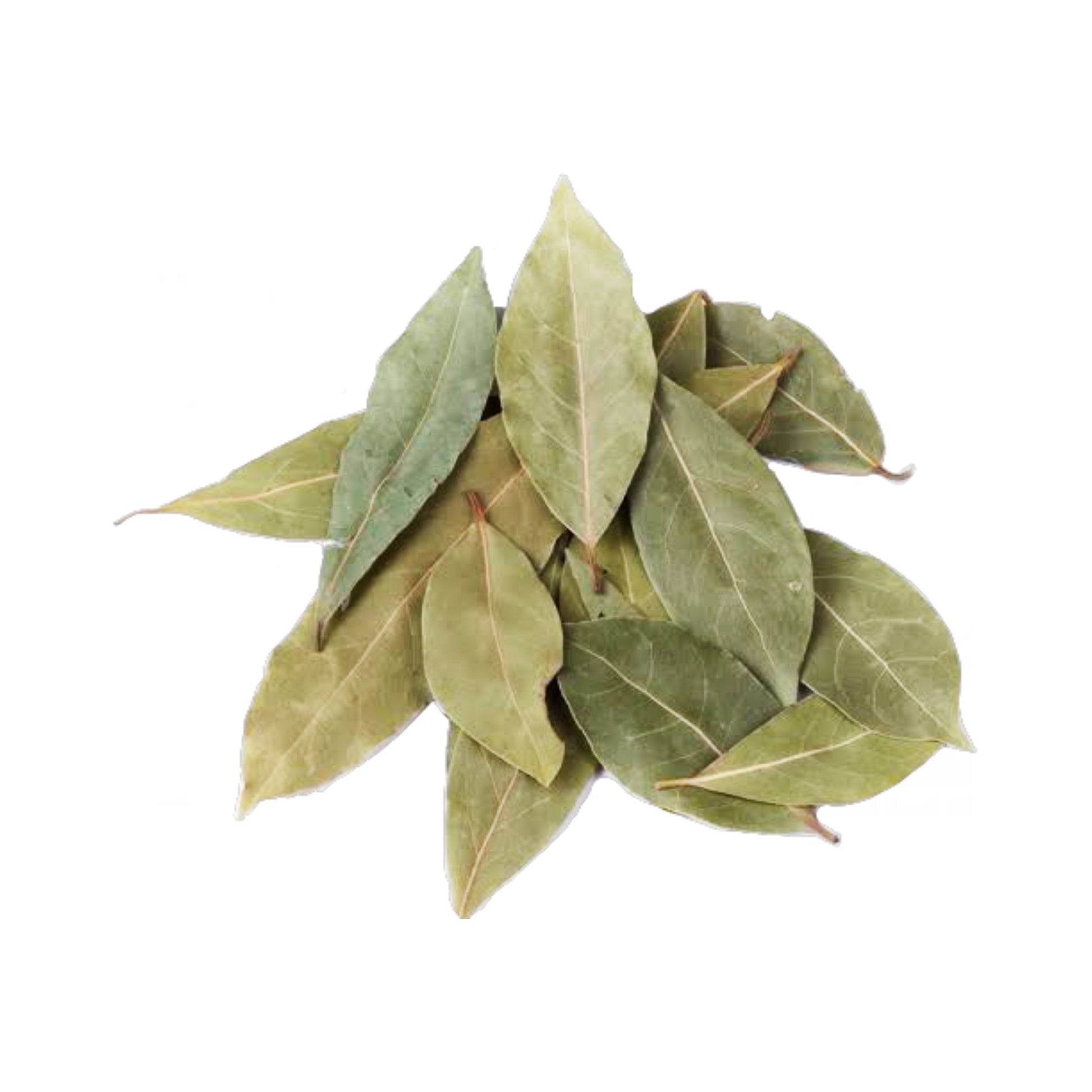 LAUREL