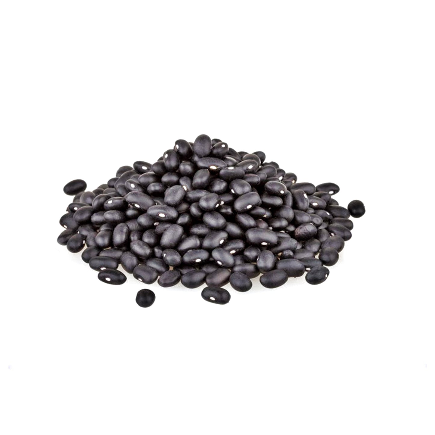 FRIJOL NEGRO