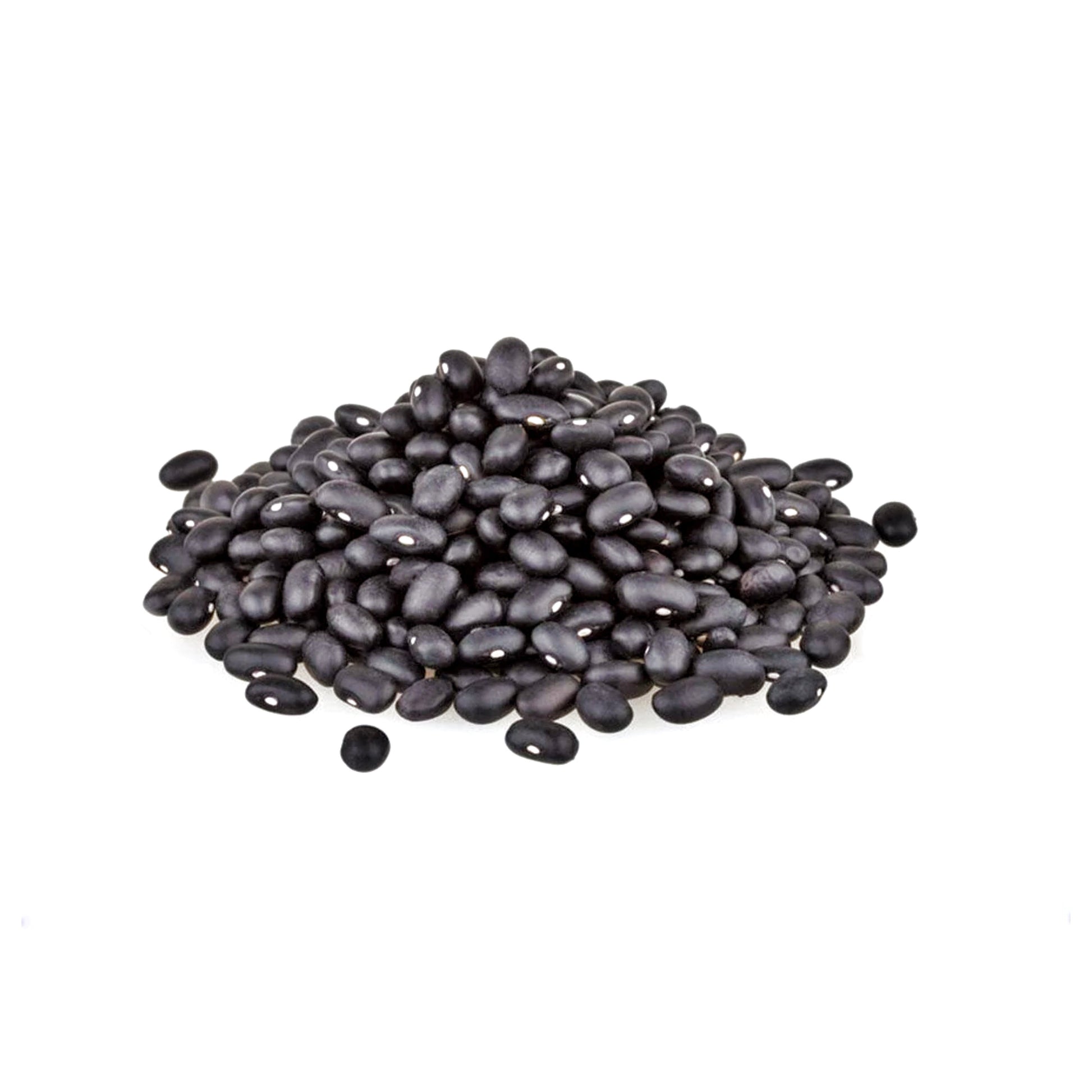 FRIJOL NEGRO