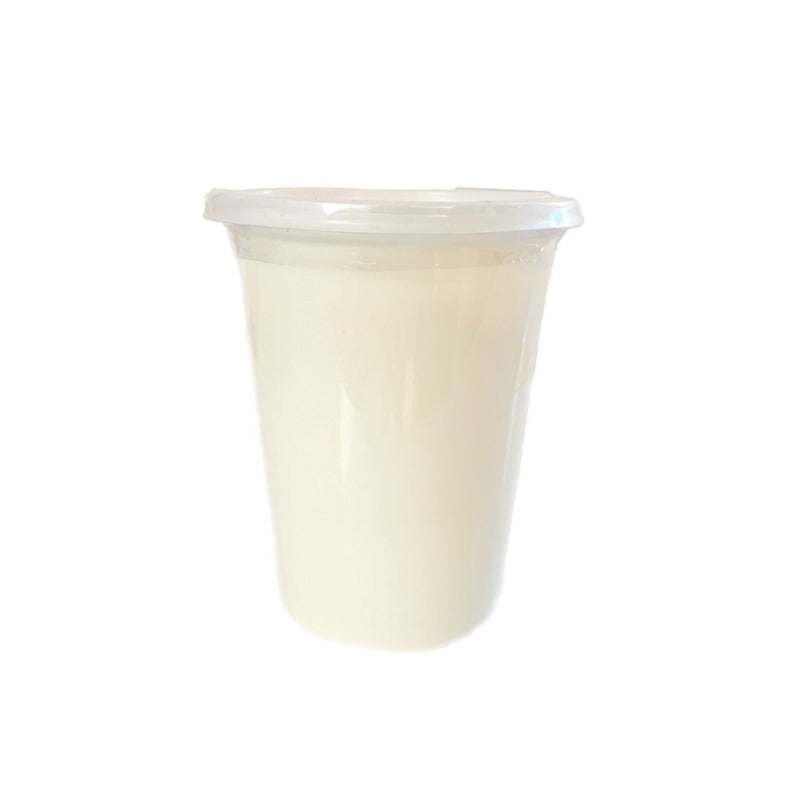 YOGURT NATURAL