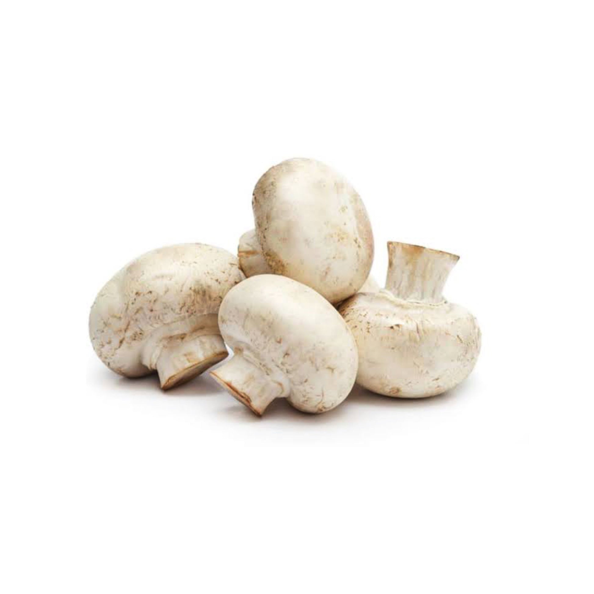 CHAMPIÑON