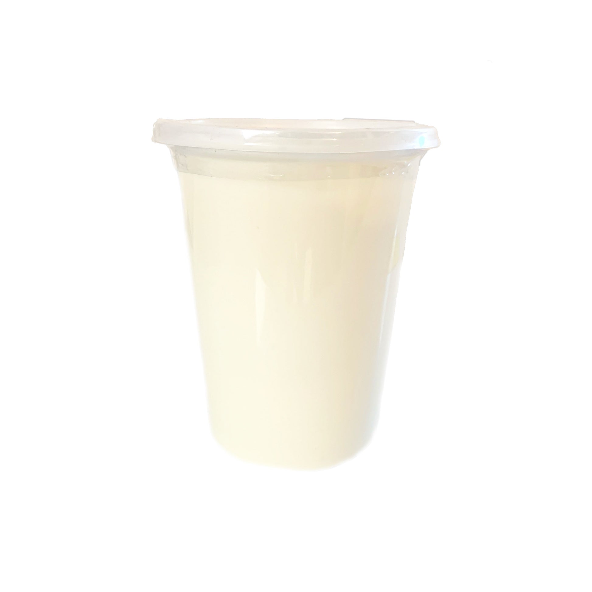 YOGURT GRIEGO SIN AZUCAR  (1 LITRO)