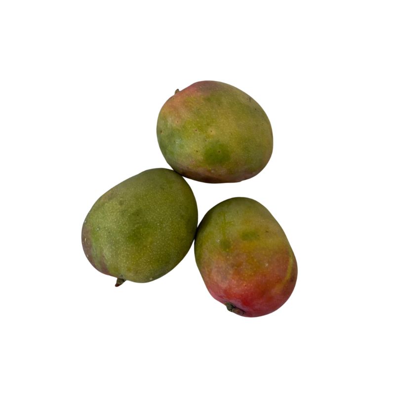 MANGO PETACON