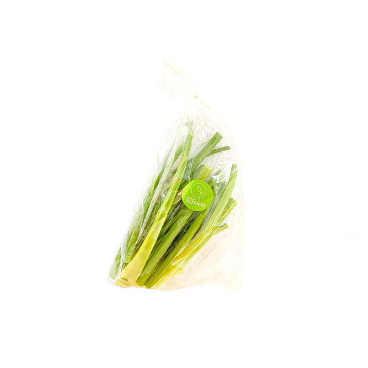 APIO LISTO (400G)