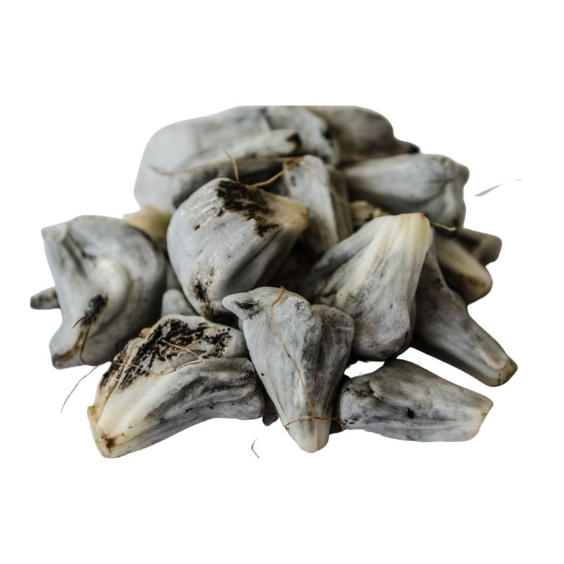 HUITLACOCHE