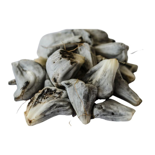 HUITLACOCHE