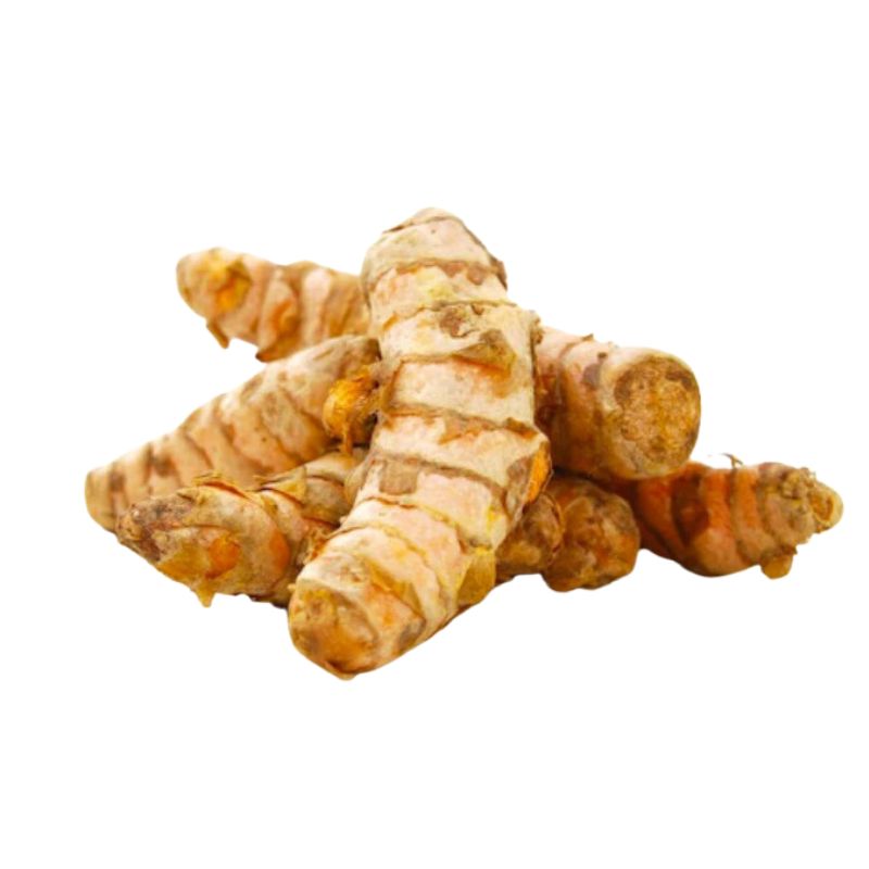 CURCUMA FRESCA
