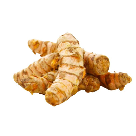 CURCUMA FRESCA
