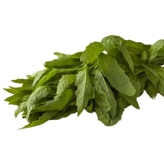EPAZOTE