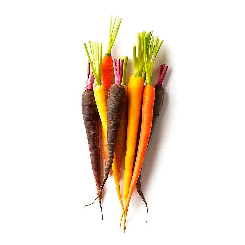 ZANAHORIAS DE COLOR