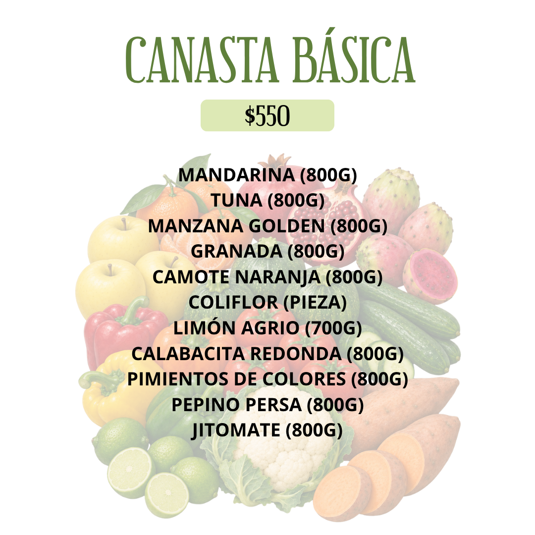 CANASTA BÁSICA