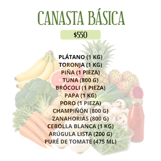 CANASTA BÁSICA