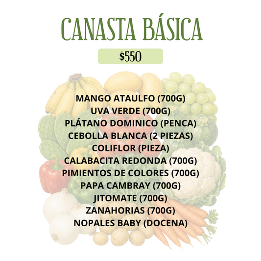 CANASTA BÁSICA
