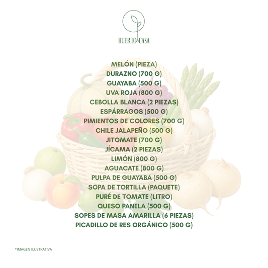 COSECHA DEL HUERTO SALADA