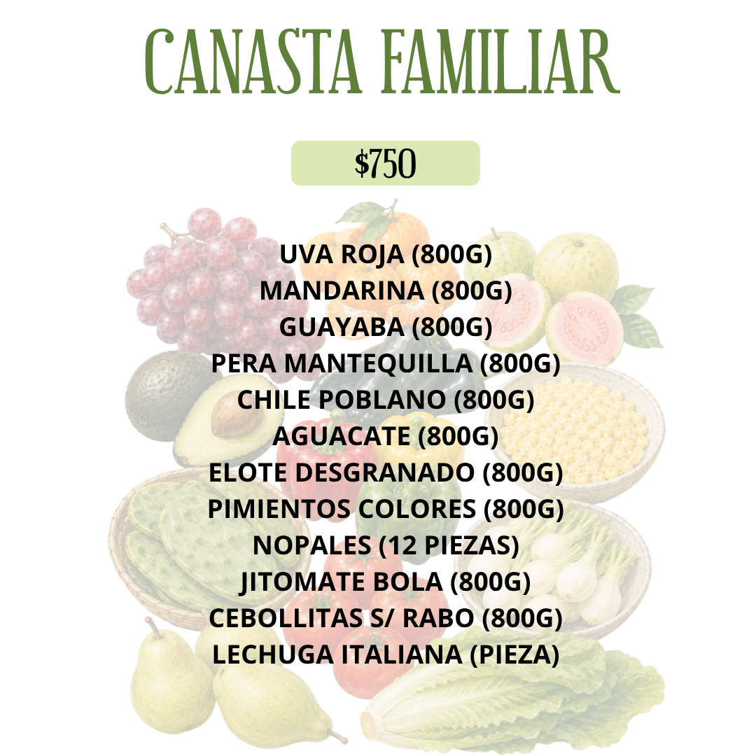 CANASTA FAMILIAR
