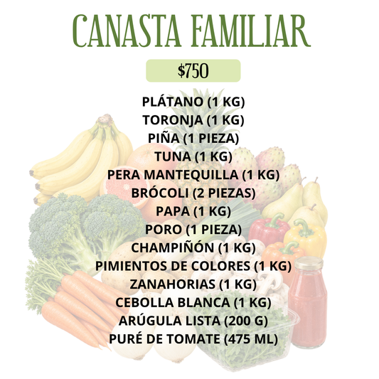 CANASTA FAMILIAR