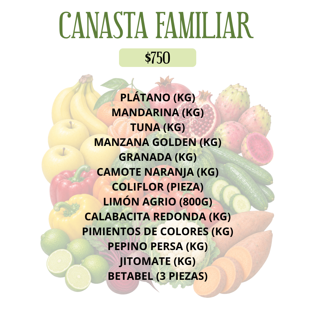 CANASTA FAMILIAR