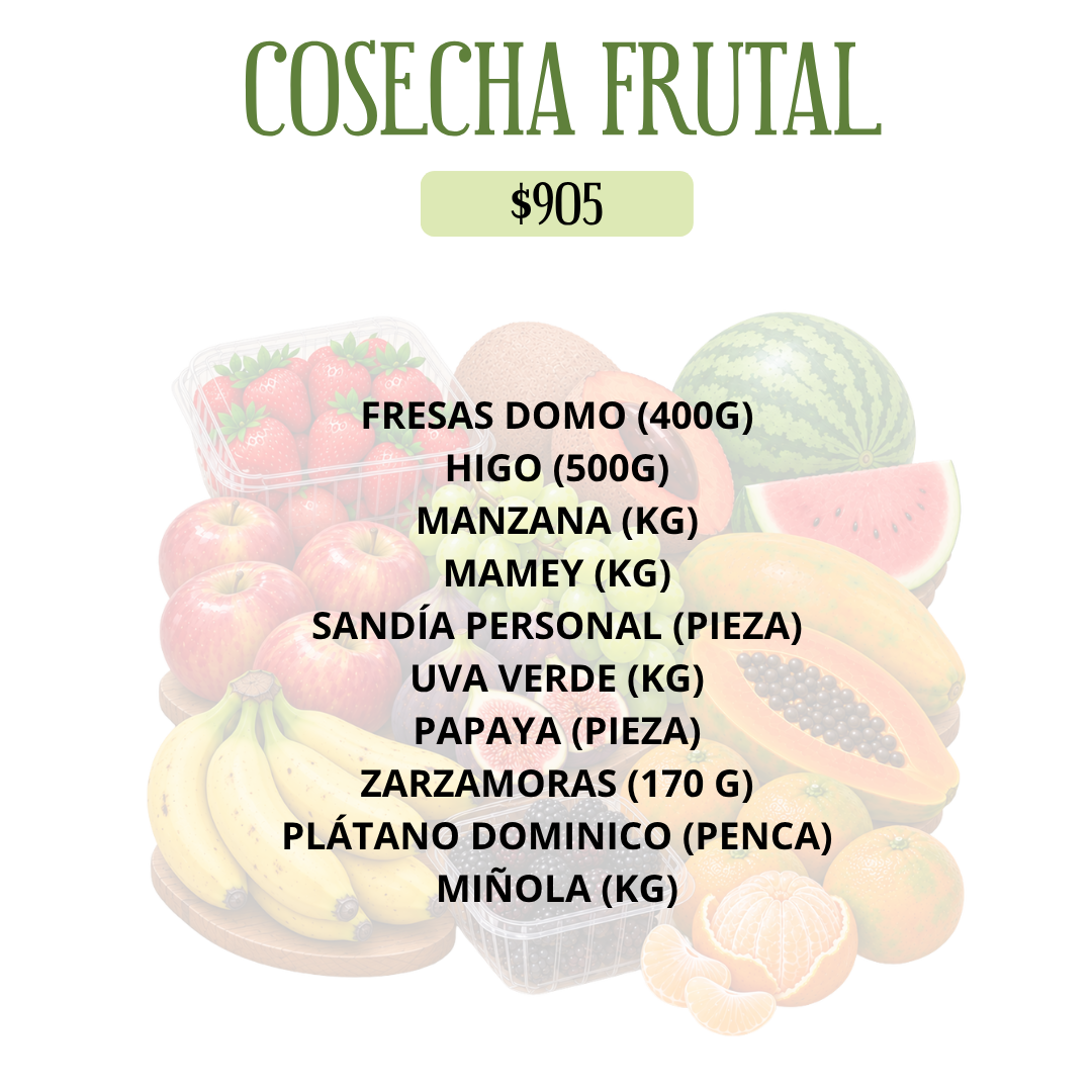 COSECHA FRUTAL DEL HUERTO