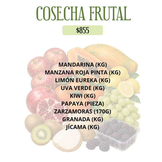 COSECHA FRUTAL DEL HUERTO