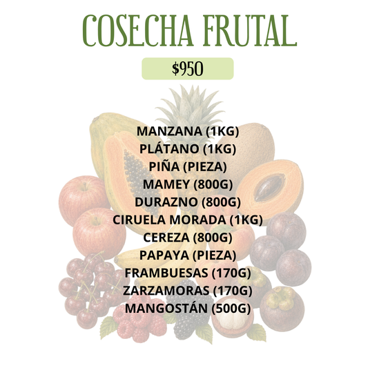 COSECHA FRUTAL DEL HUERTO