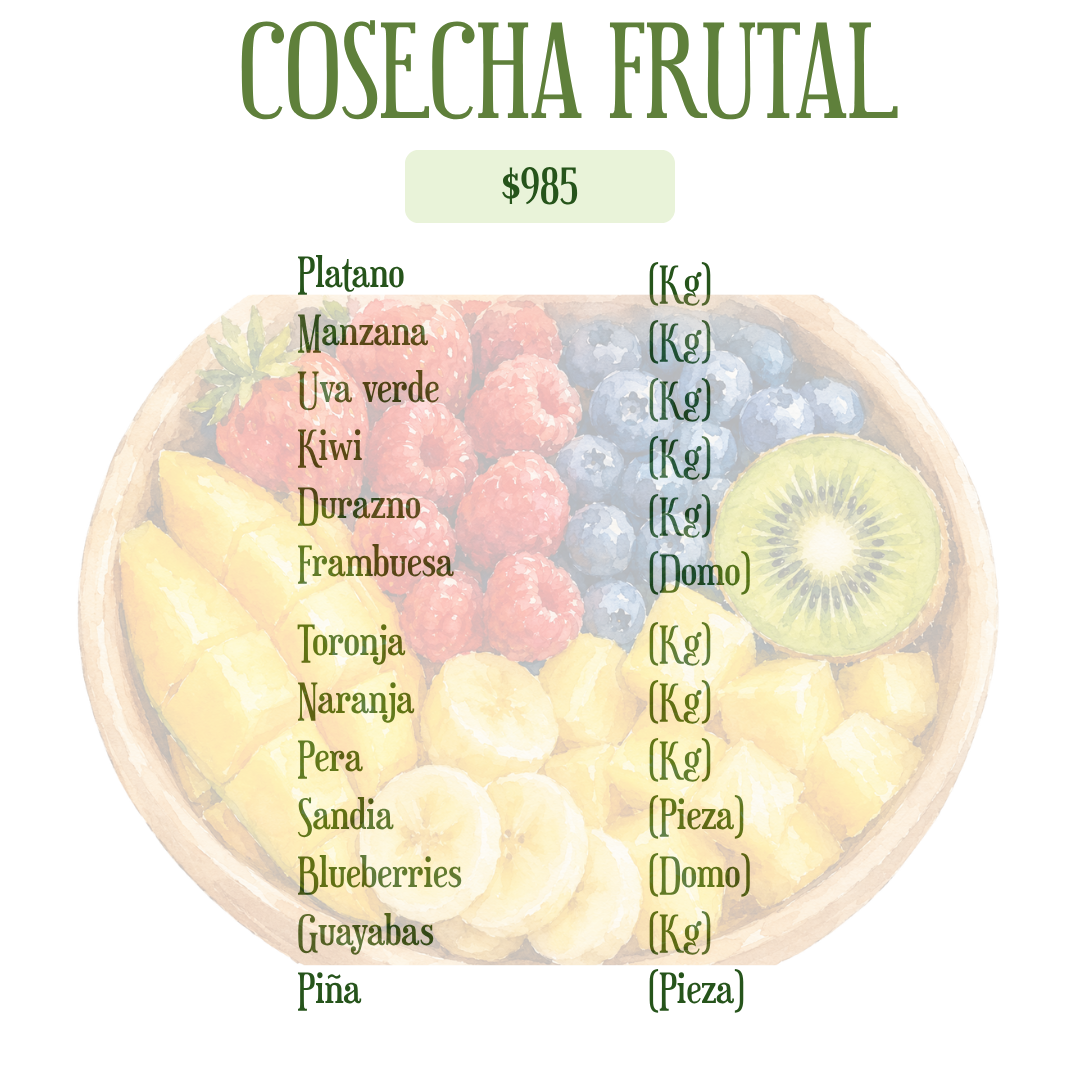 COSECHA FRUTAL DEL HUERTO
