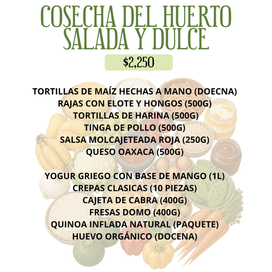 COSECHA DEL HUERTO SALADA Y DULCE