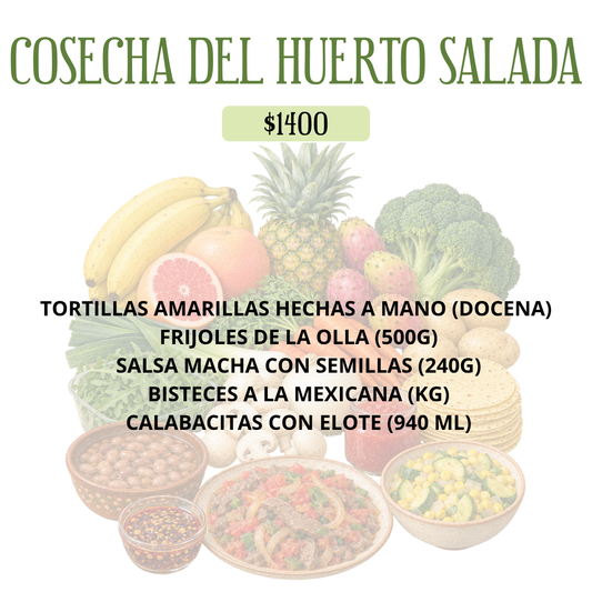 COSECHA DEL HUERTO SALADA