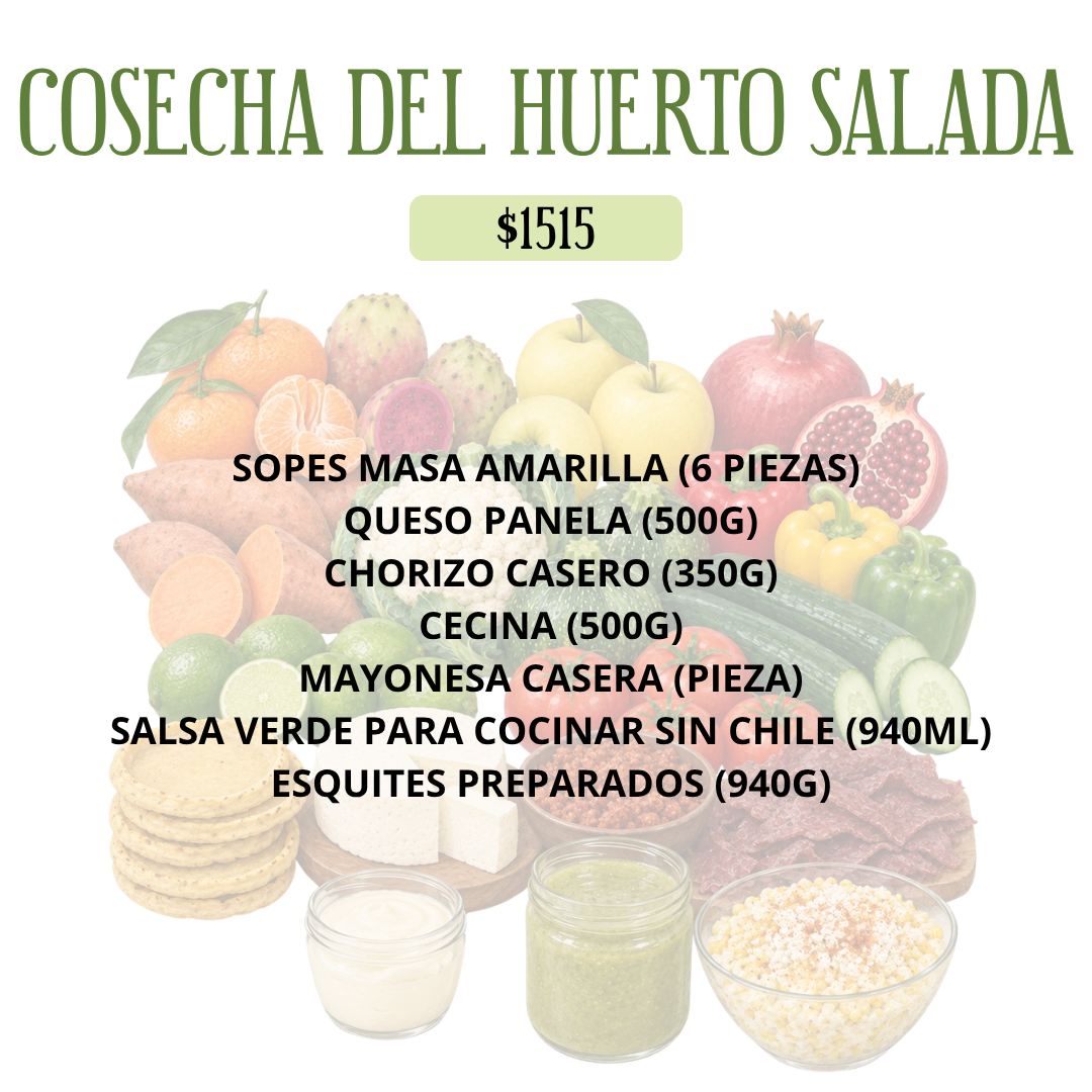 COSECHA DEL HUERTO SALADA